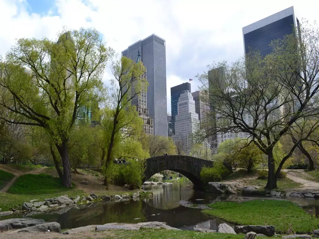 Central Park NYC image by greips from Pixabay